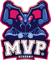 MVP Academy